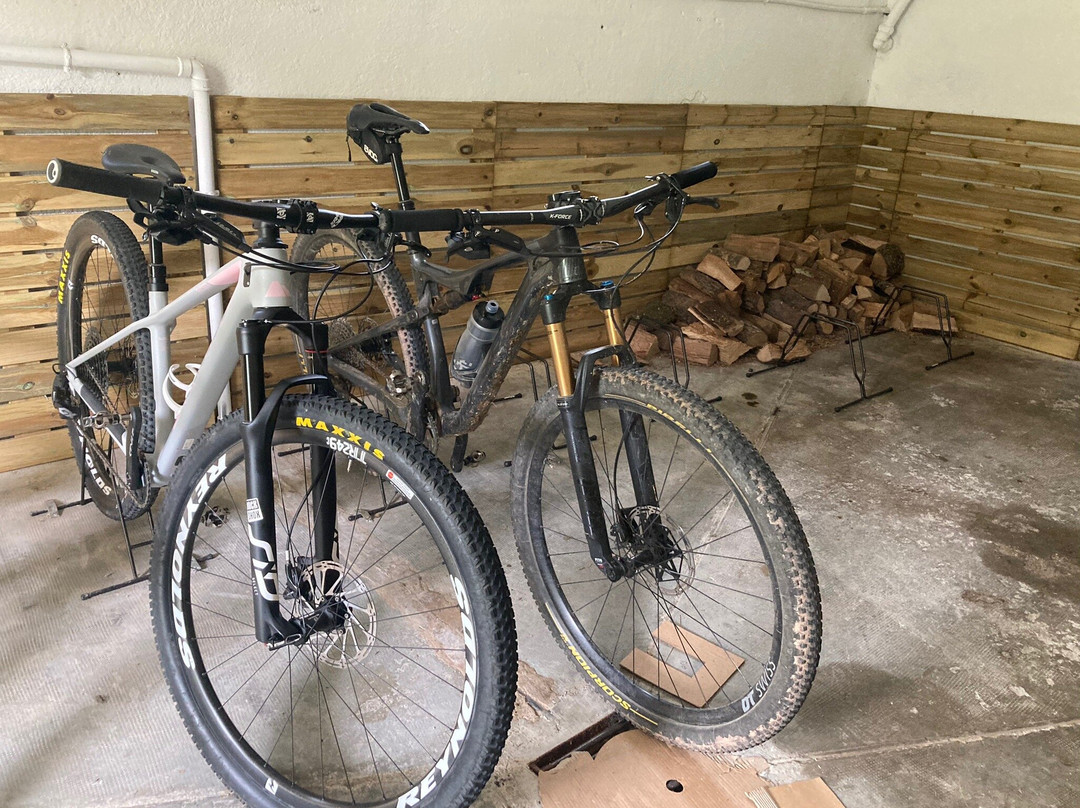 Els Avets Encantats主图