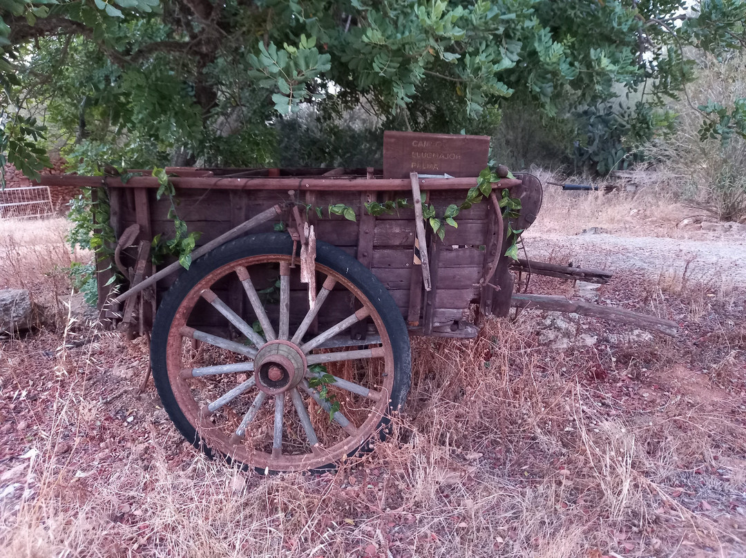 Finca Sa Canova