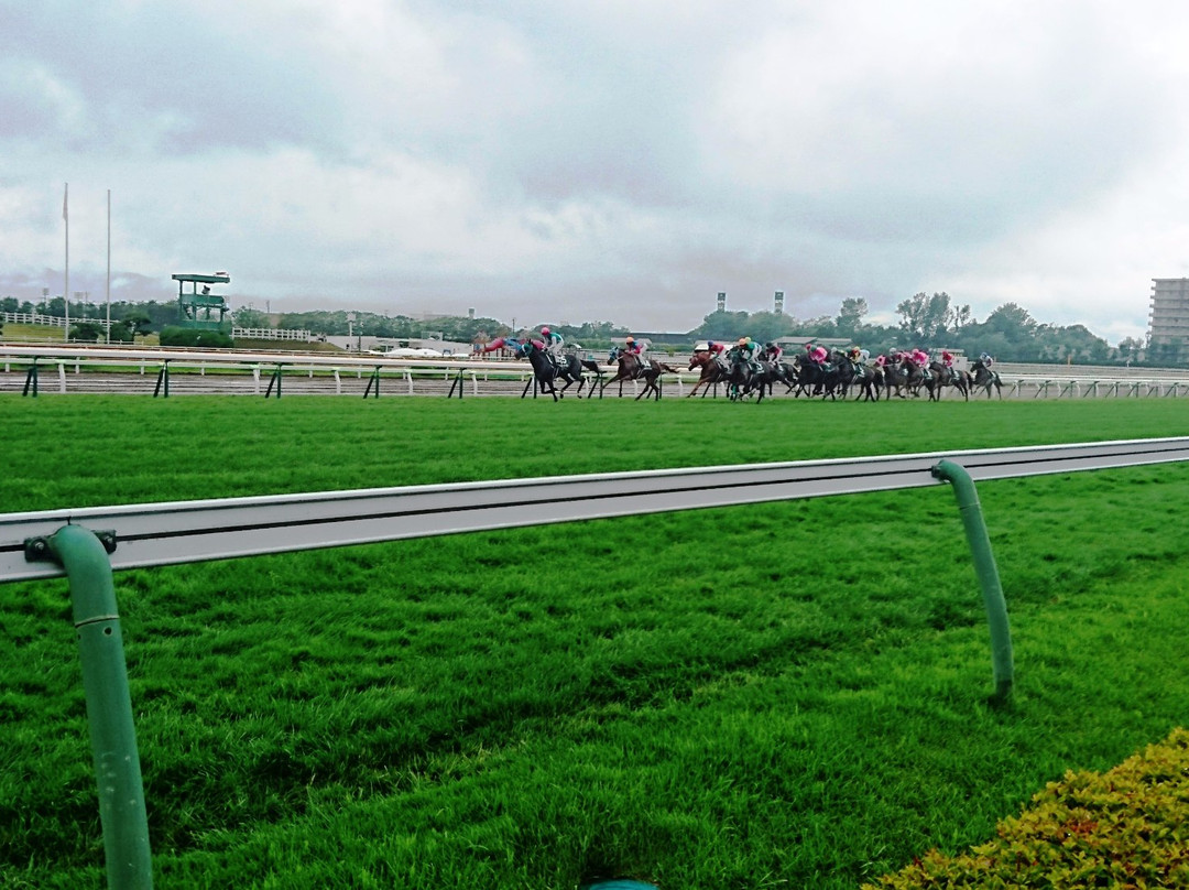 Hakodate Horse Racetrack景点图片