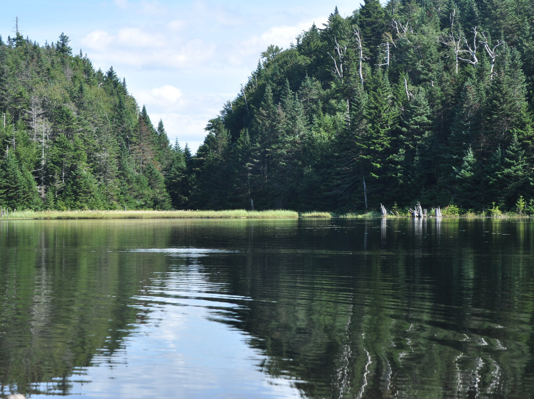 Parc d'environnement Naturel de Sutton-Sutton必去景点