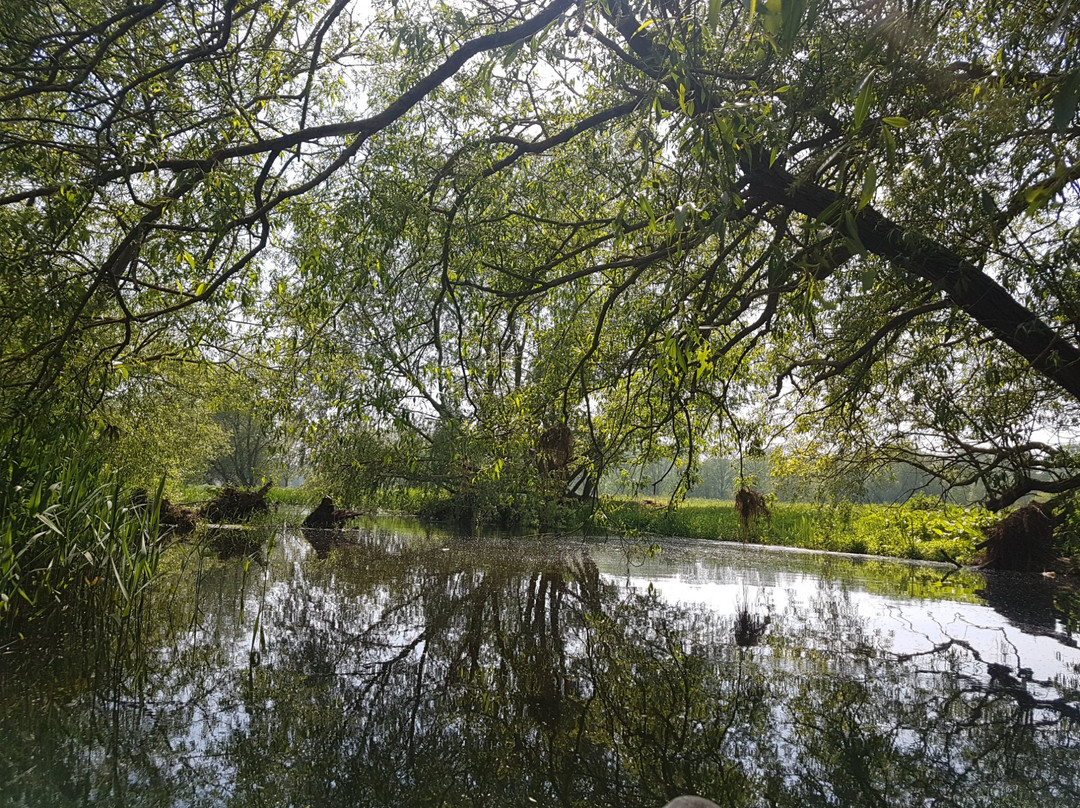 Outney Meadow Camp Site景点图片