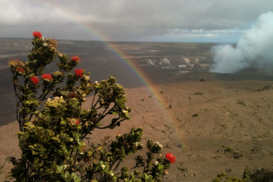 Akamai Adventure Tours & Travel, Llc