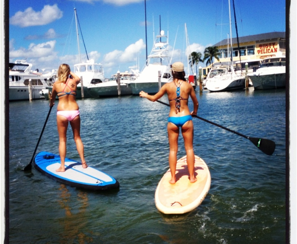 The Kite Farm-比斯坎湾必去景点