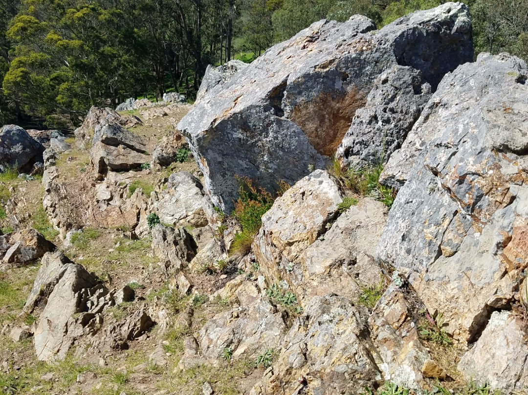 Glen Canyon Park-旧金山必去景点