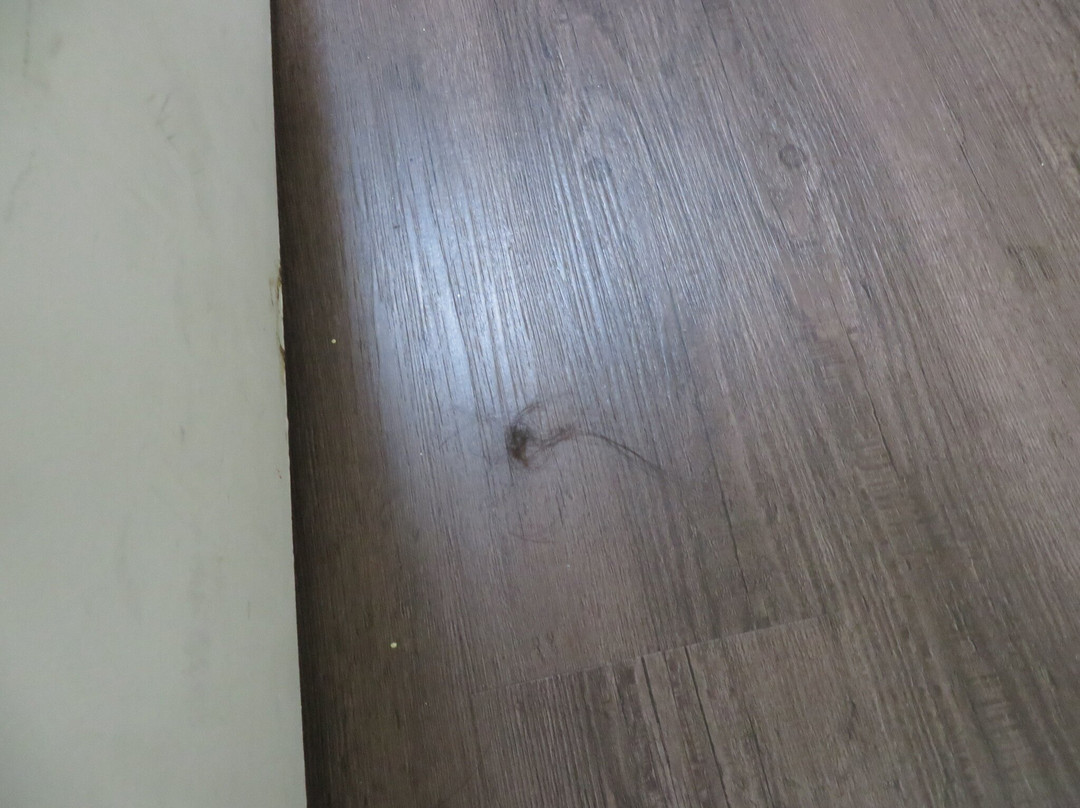 Ozone Inn & Suites JFK