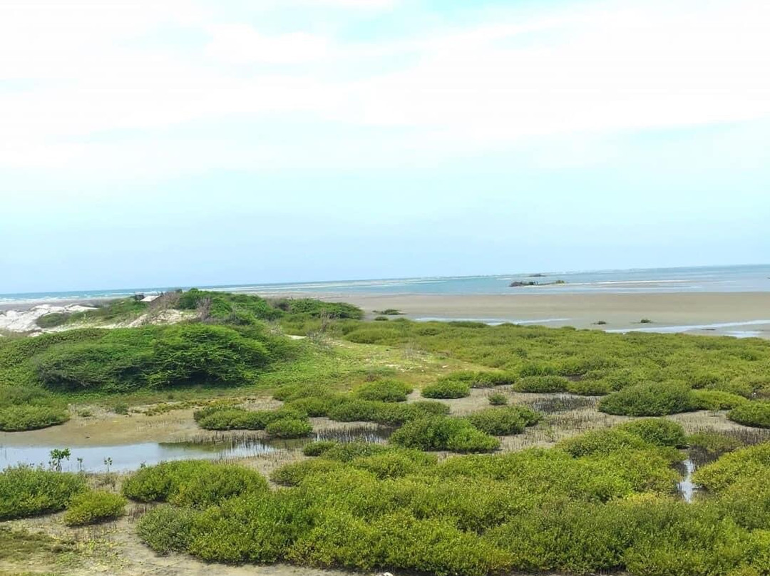 Kalpitiya Lagoon Resort