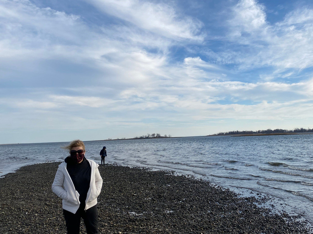 Calf Pasture Beach-诺沃克必去景点