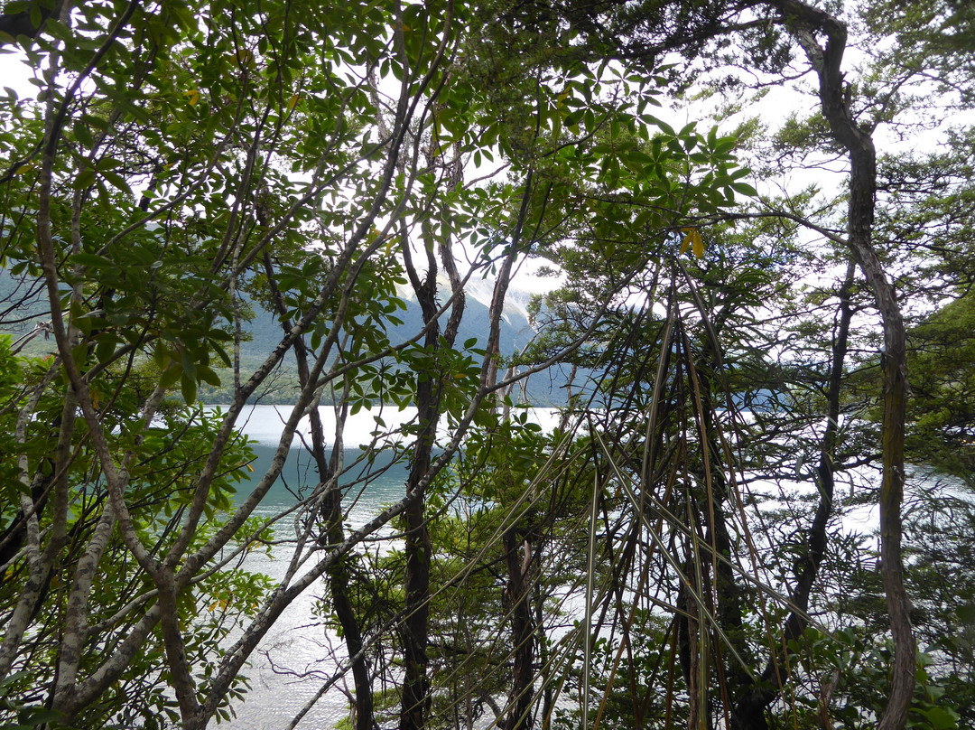Lake Rotoiti景点图片