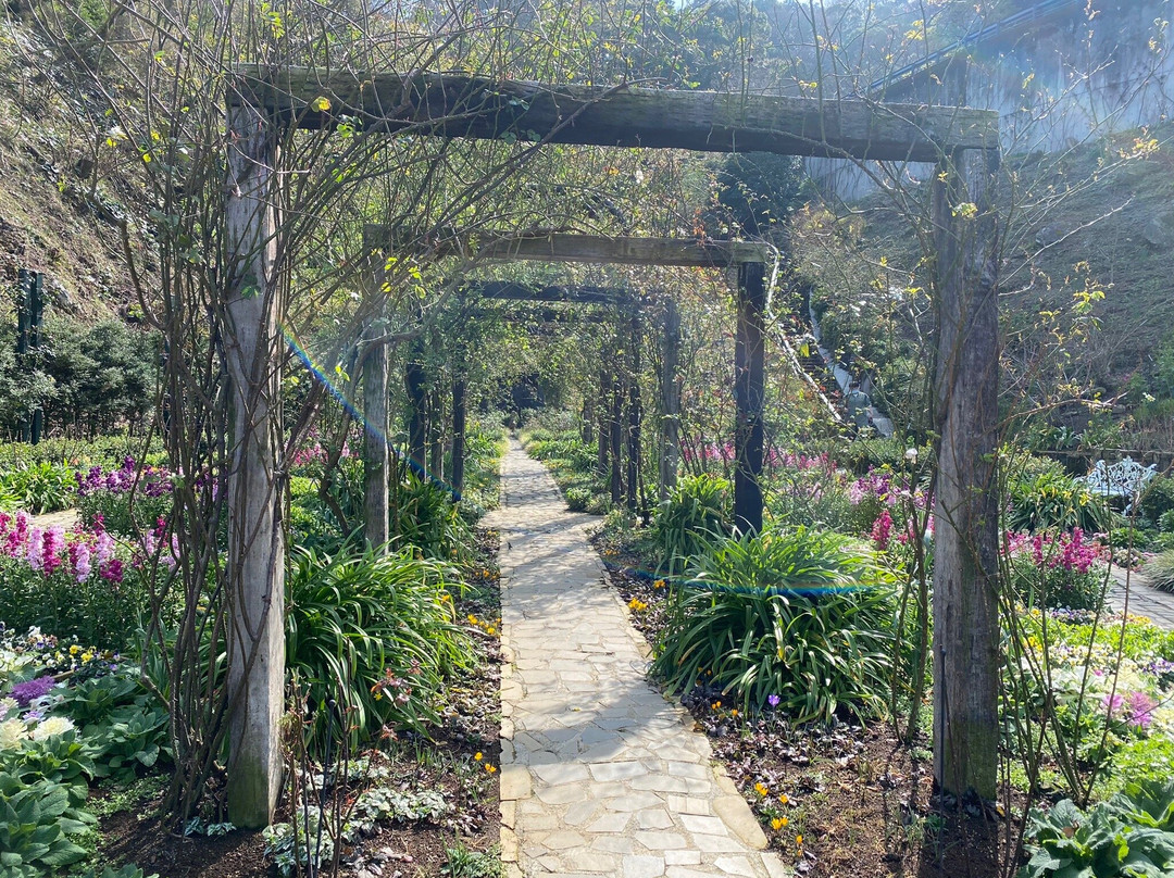 ACAO FOREST-热海市必去景点