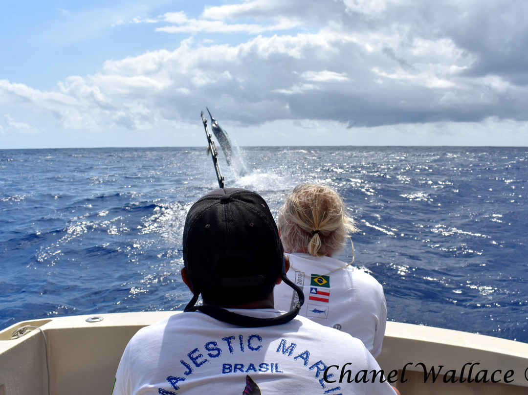 Majestic Marlin Brazil-Canavieiras必去景点