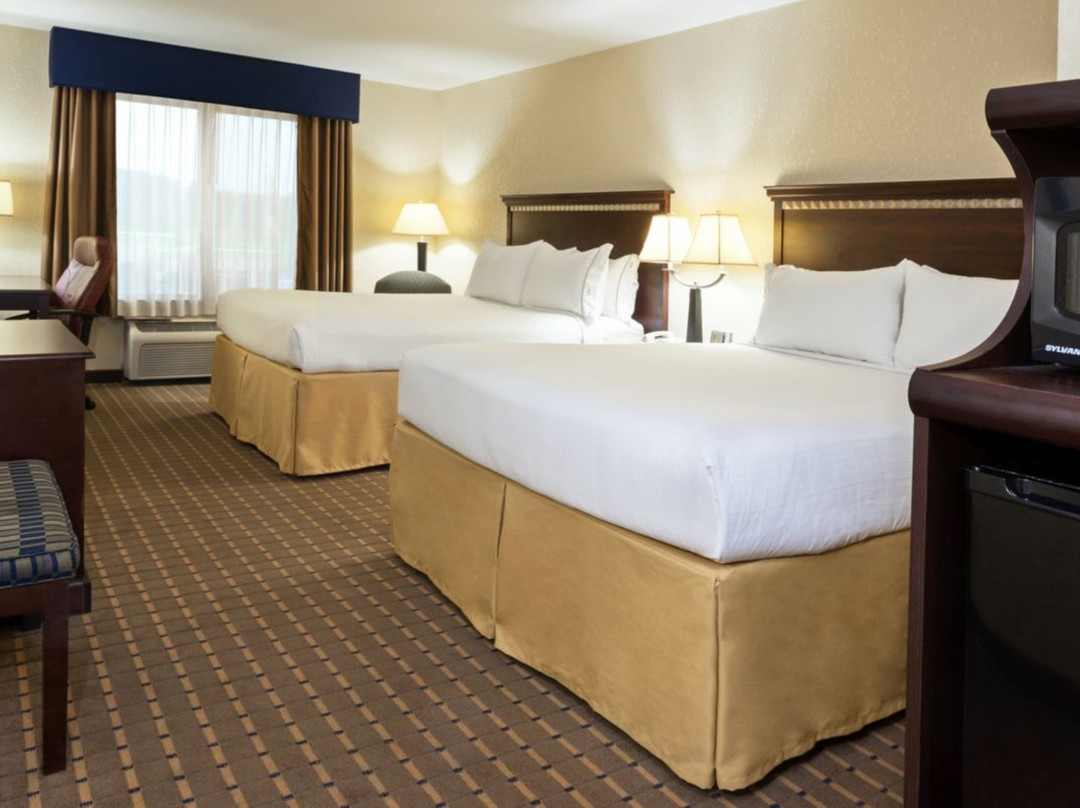 智选假日套房酒店士美非路主图