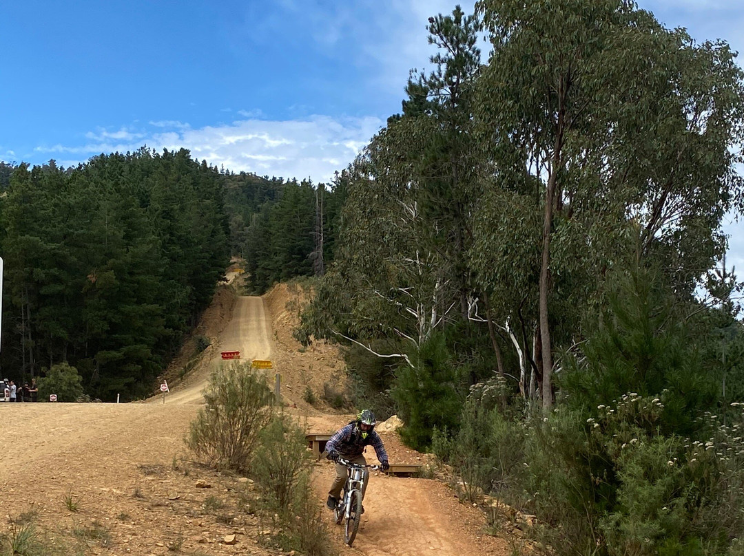 Mystic Mountain Bike Park景点图片