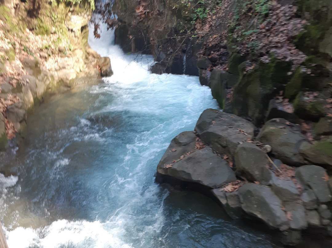 Hermon Stream Nature Reserve-Merom Golan必去景点