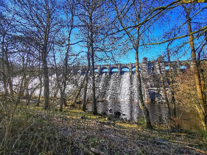 RSPB Lake Vyrnwy-奥斯沃斯特必去景点