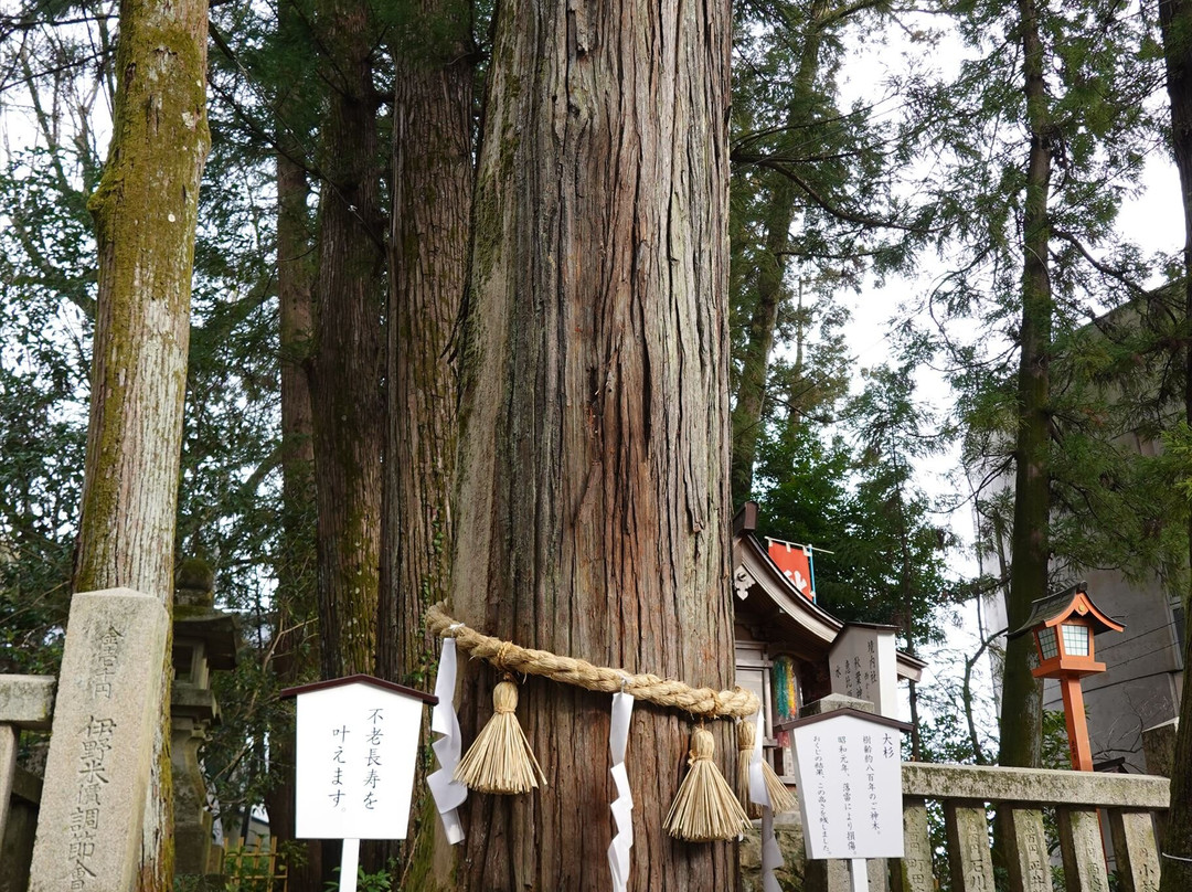 Sugimato Shrine-伊野町必去景点