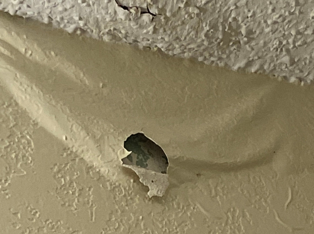 Super 8 by Wyndham Douglas主图