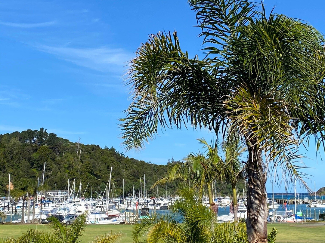 Quality Hotel Oceans Tutukaka主图