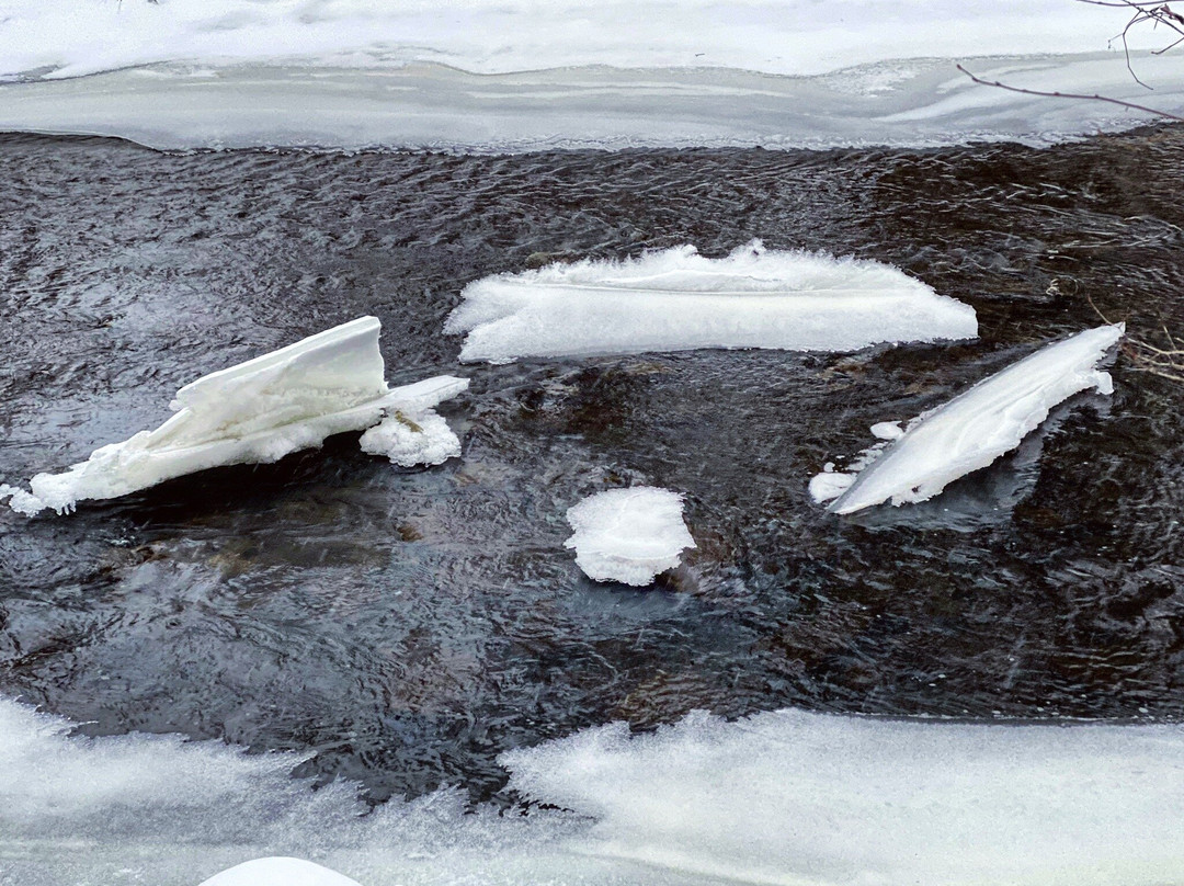 Akron Falls Park-Akron必去景点