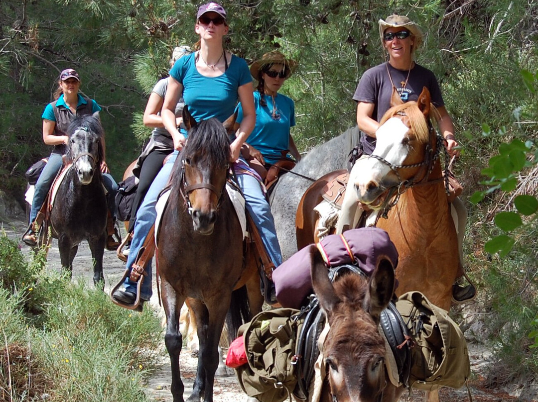 A&E Elpida Ranch-罗德城必去景点
