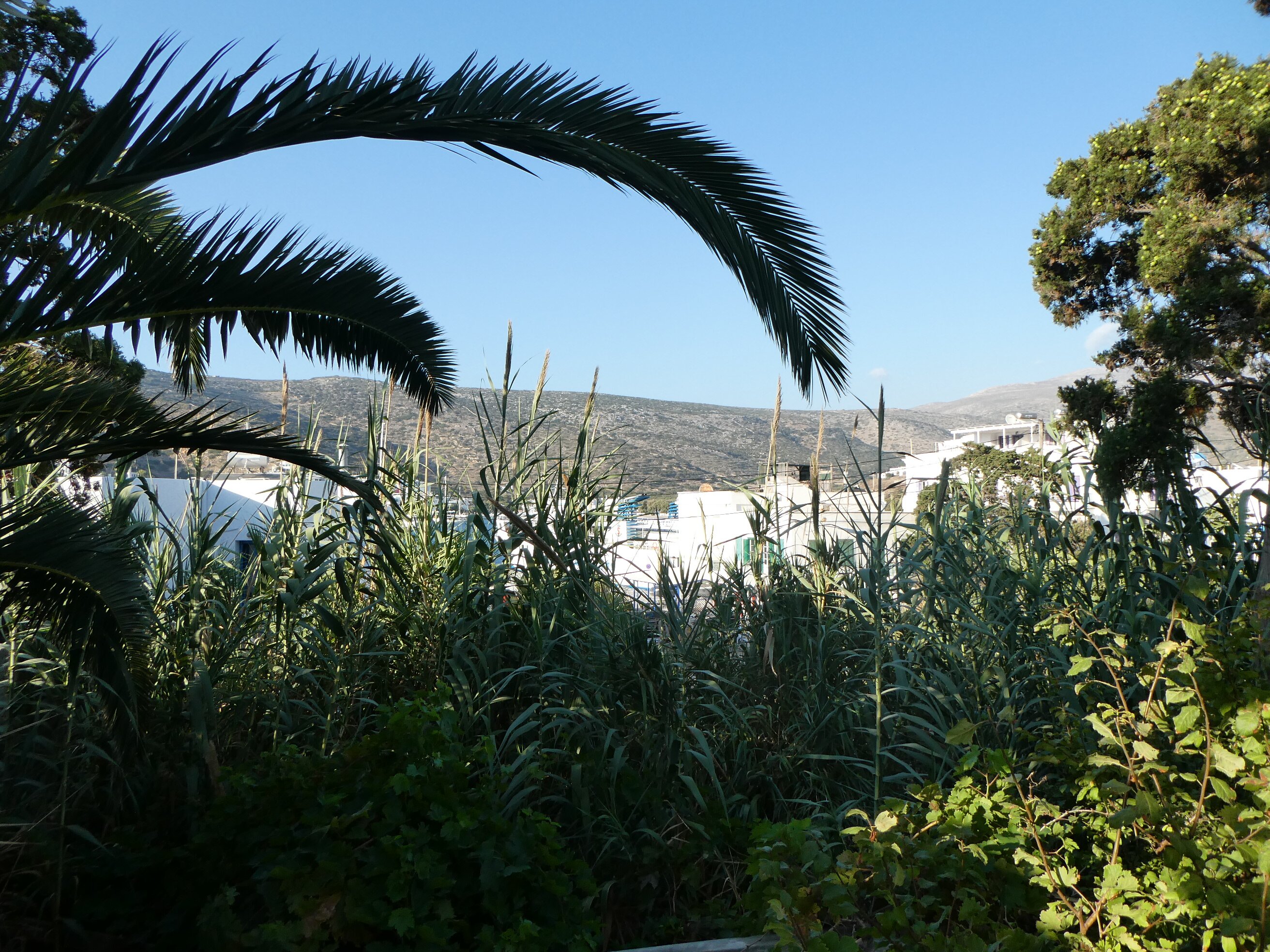 Anna Studios Amorgos-酒店景观