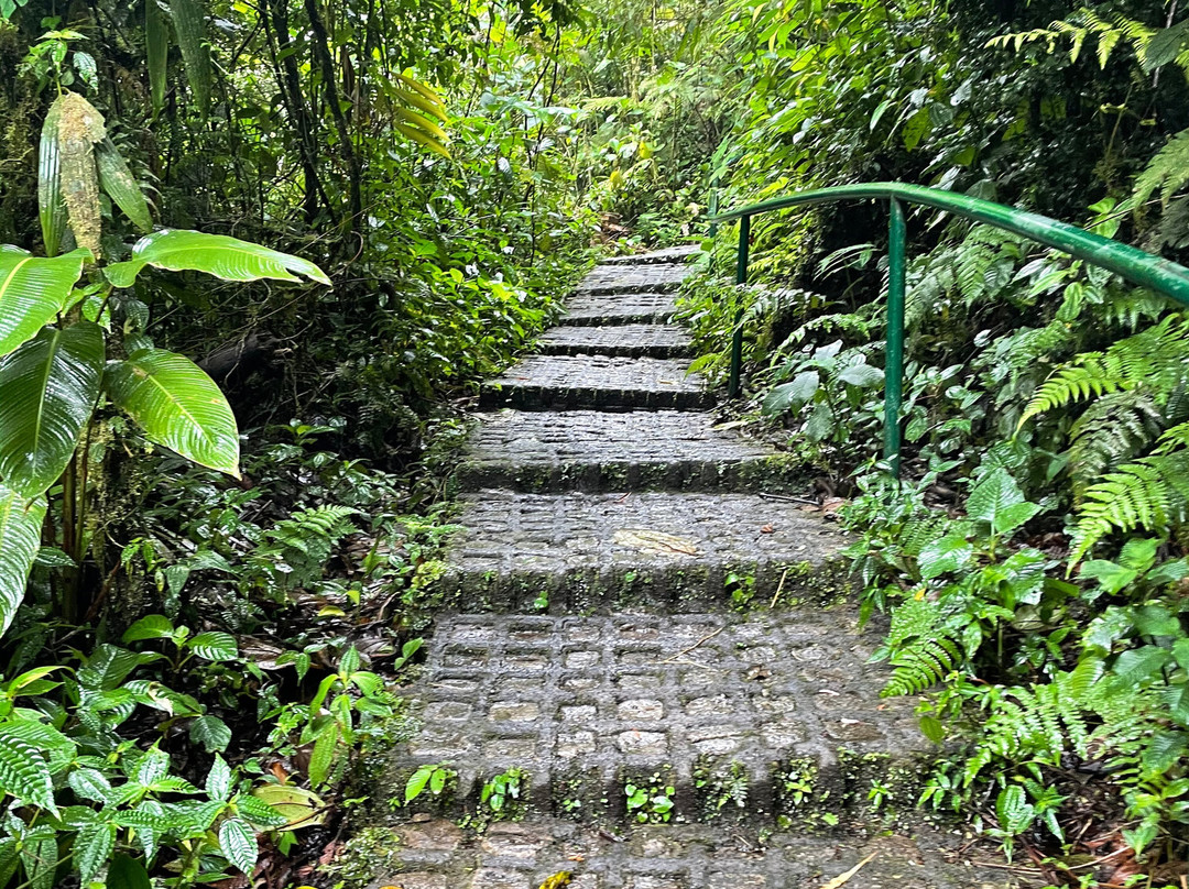 Tico Tours Guanacaste景点图片
