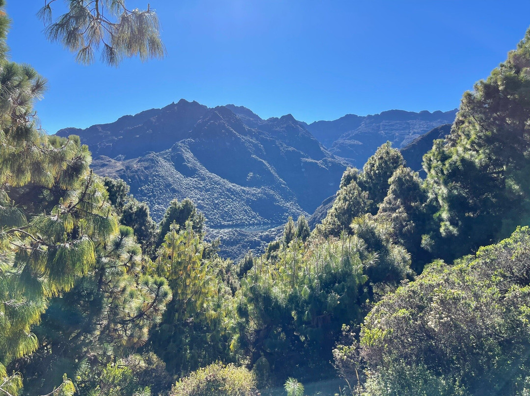 Laguna de Mucubaji-梅里达市必去景点