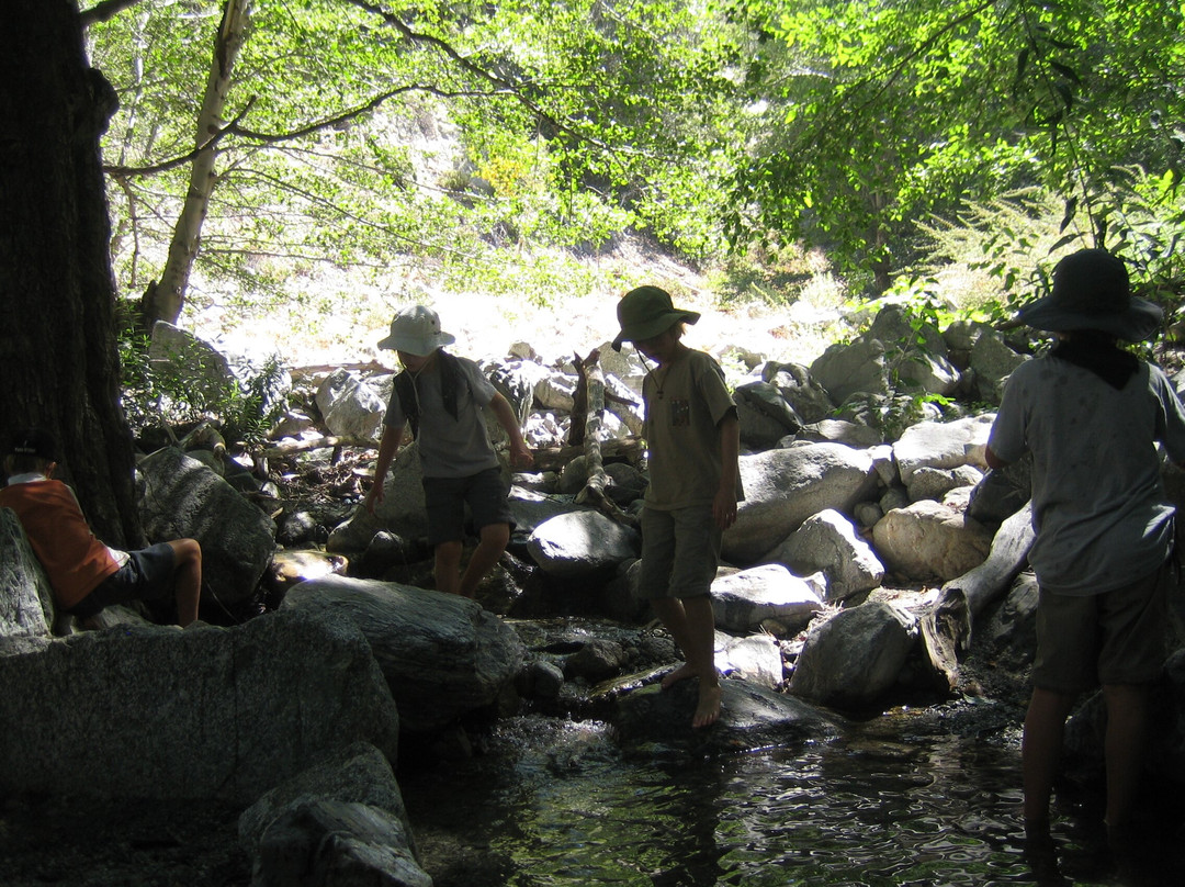 Naturalist For You-Silverado必去景点