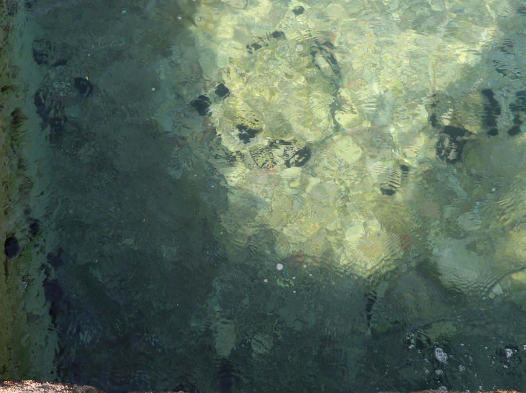 Spuga 2 Sponge Museum & Shop-Krapanj必去景点