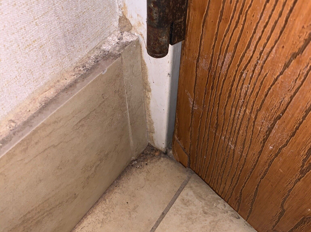 Comfort Suites Gastonia - Charlotte主图