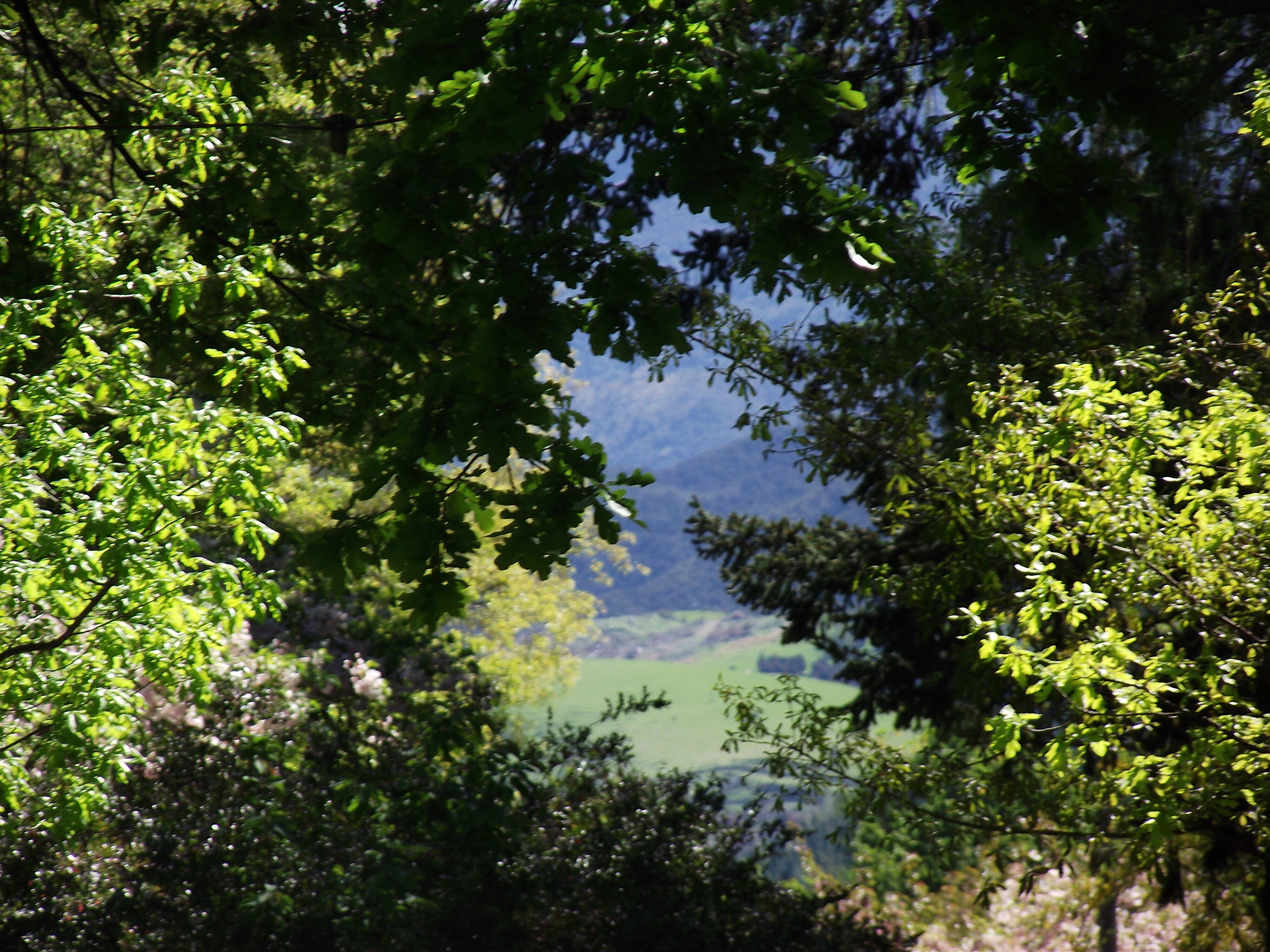 Tussock Peak Lodge-酒店景观