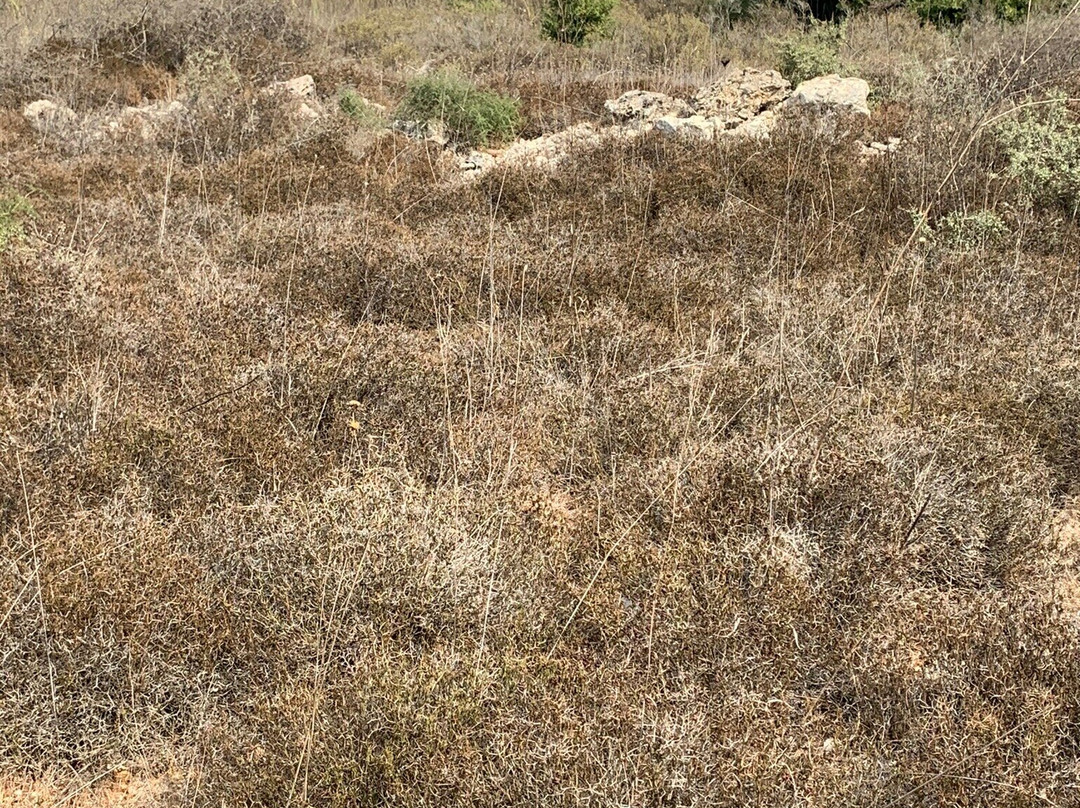 Baram National Park-Jish必去景点