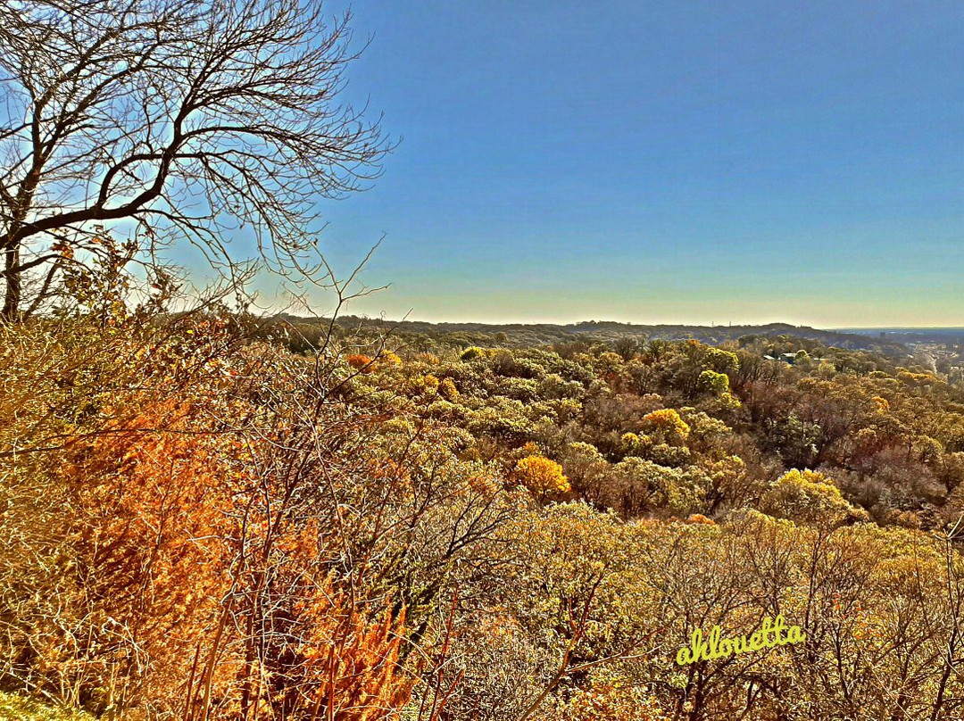 Lewis and Clark Monument and Scenic Overlook景点图片