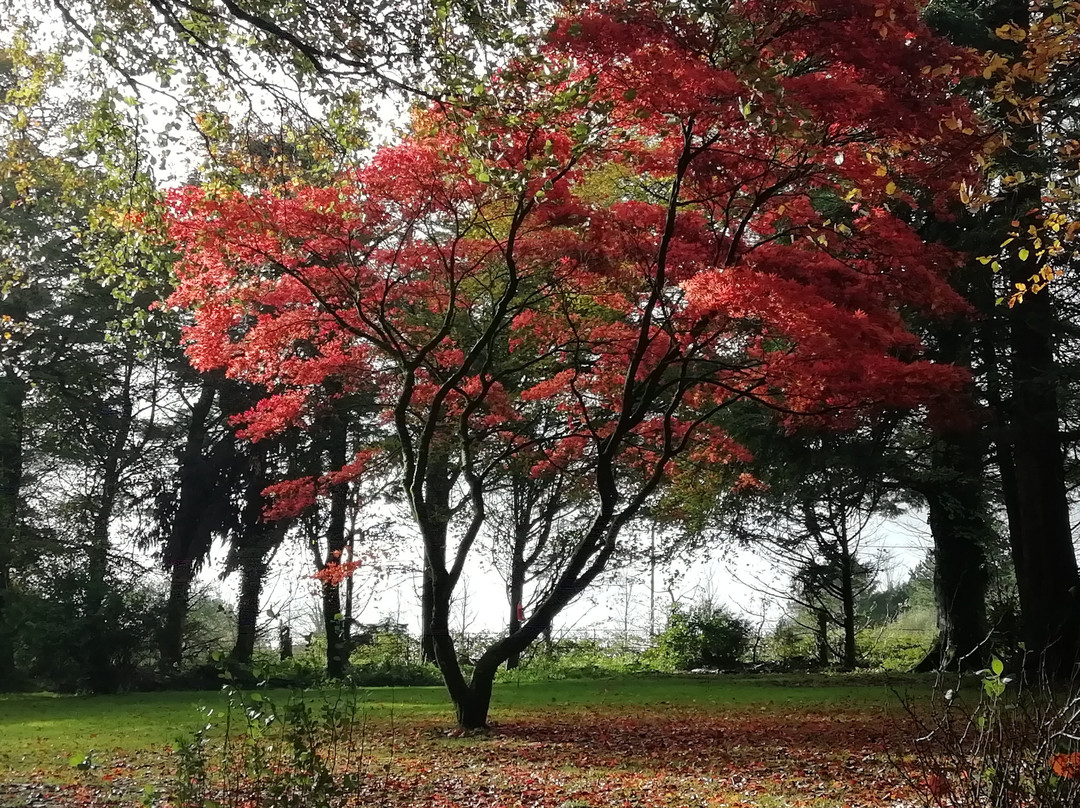 Court Barn Country House Hotel主图