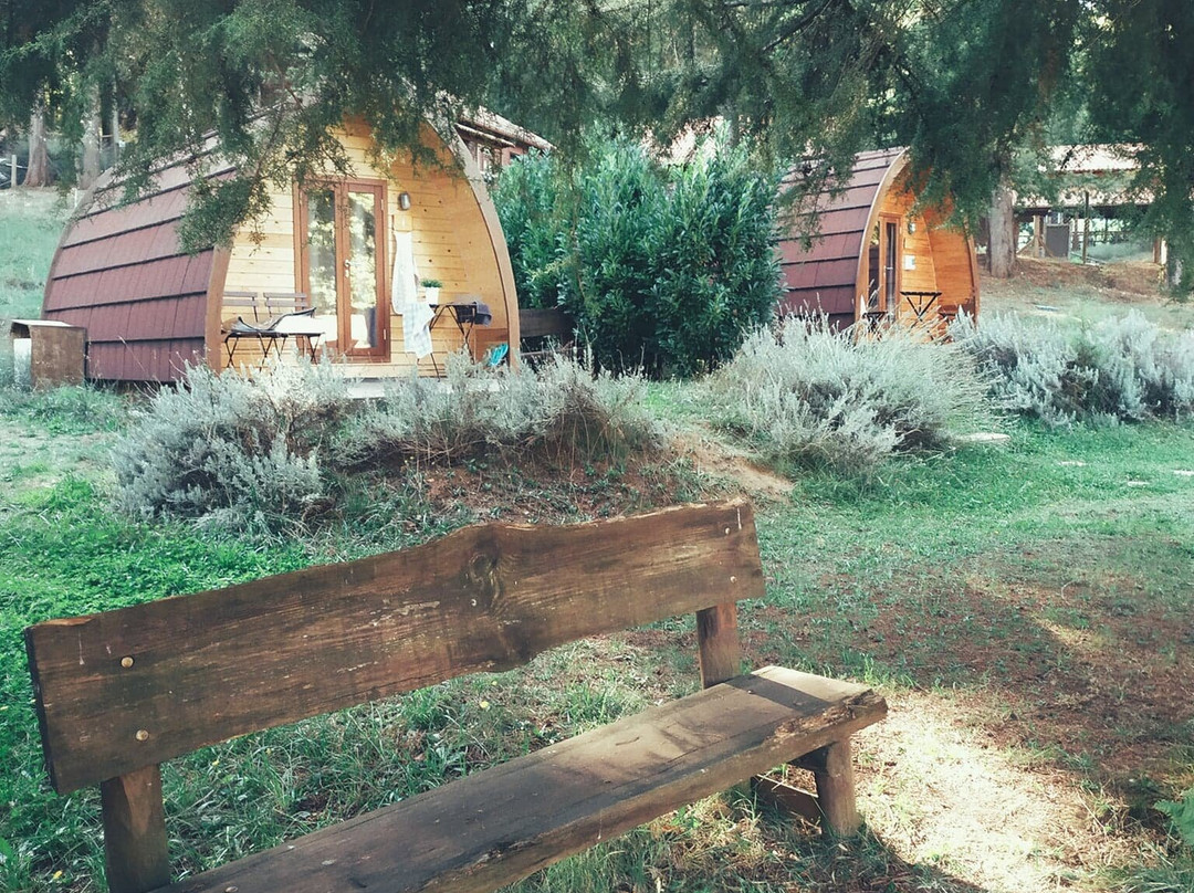 Parque Biologico de Vinhais景点图片