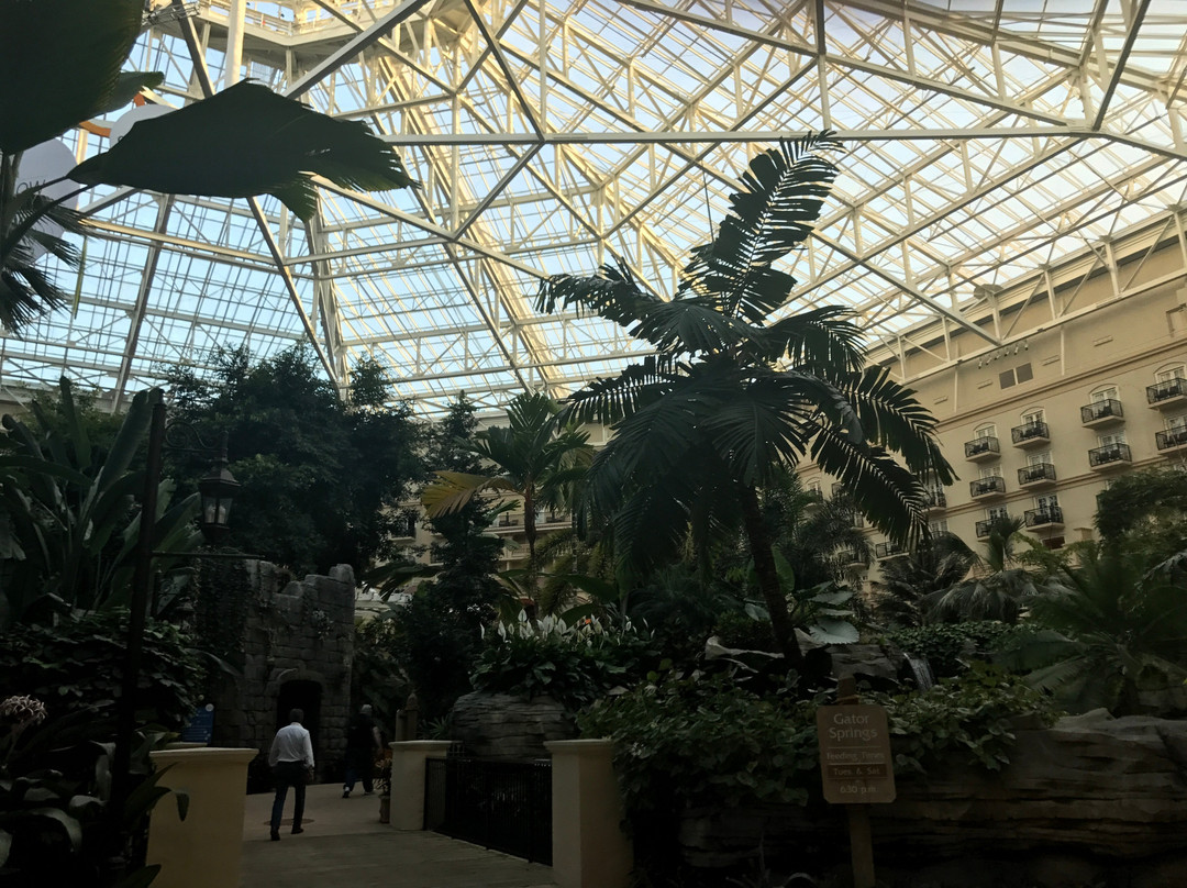 Gaylord Palms Resort & Convention Center-基西米必去景点