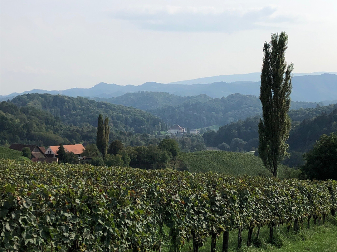 Winzarei Weingut Tement主图