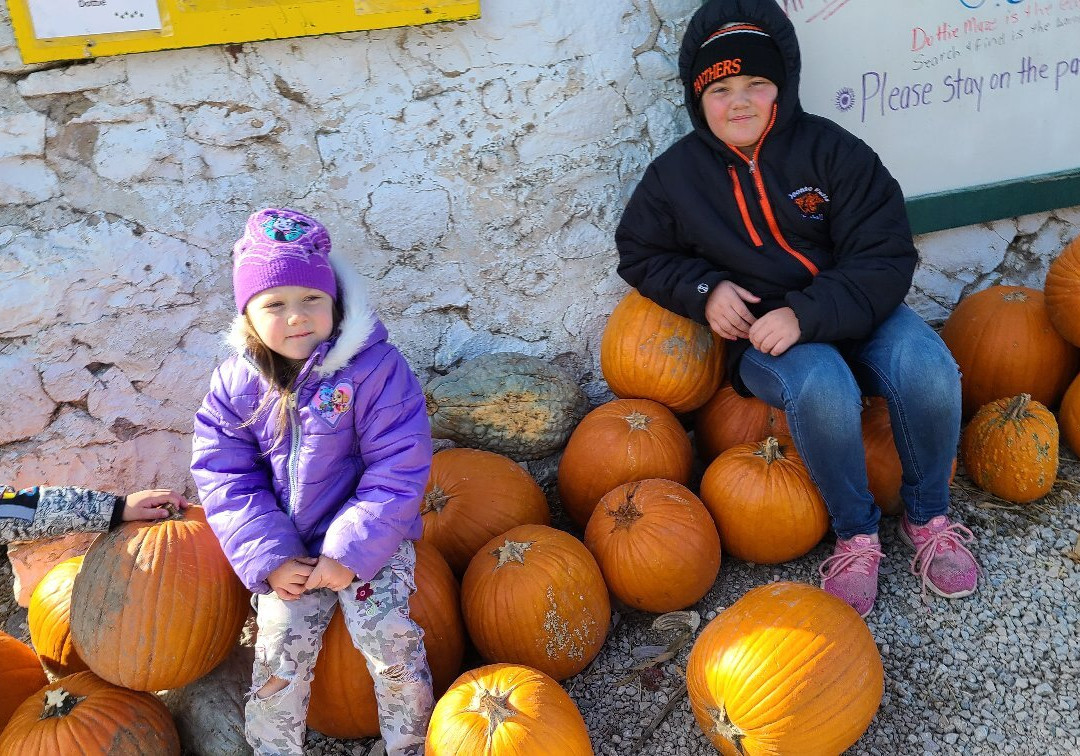 Polly's Pumpkin Patch-Chilton必去景点