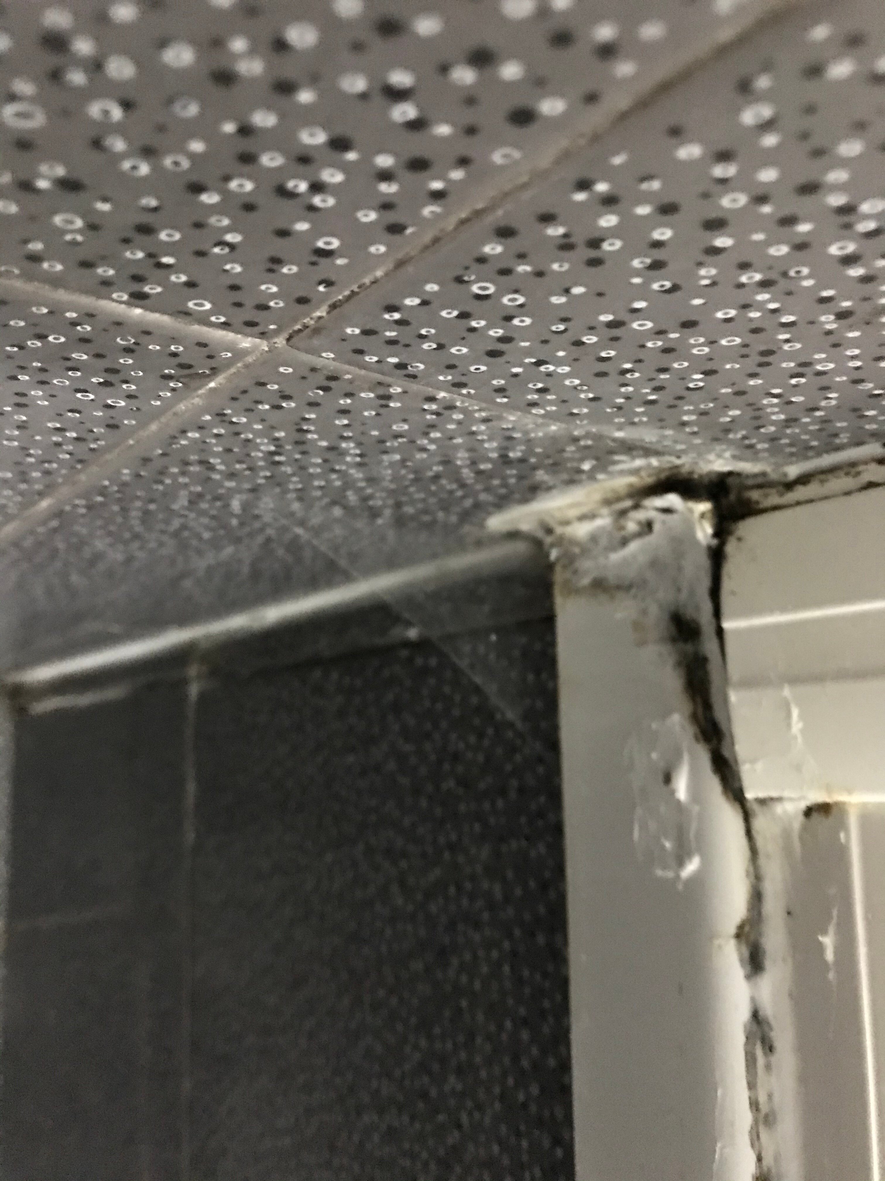 Hotel Ariston-浴室