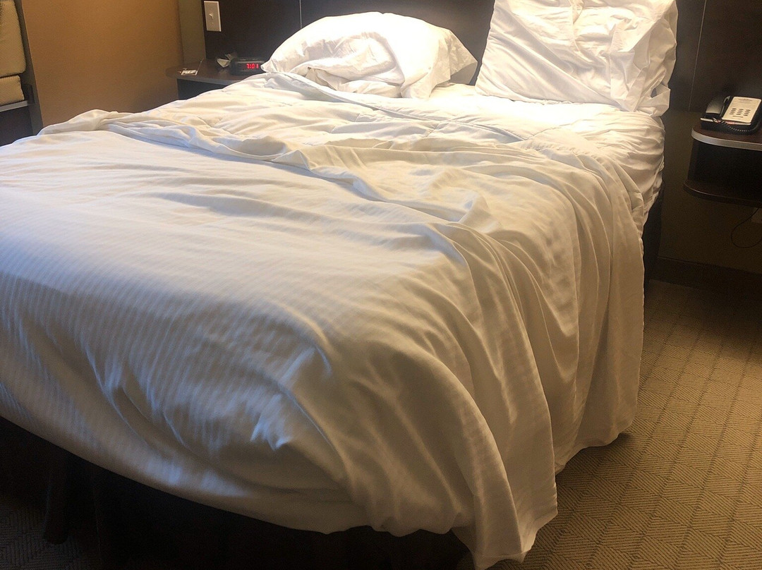 Microtel Inn & Suites By Wyndham Shelbyville主图