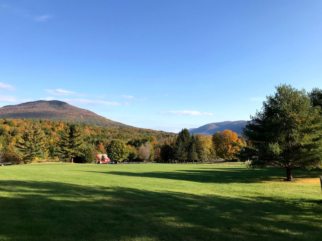 曼切斯特维尤酒店主图