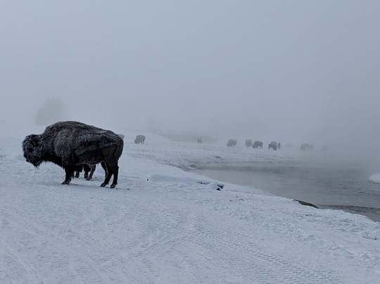 Wyld Guide-西黄石镇必去景点