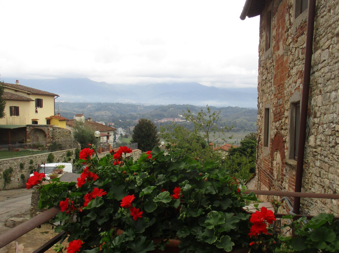 Casa Petrarca