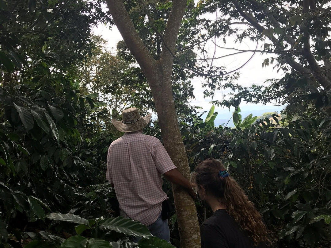 Hane Coffee-布埃纳维斯塔必去景点