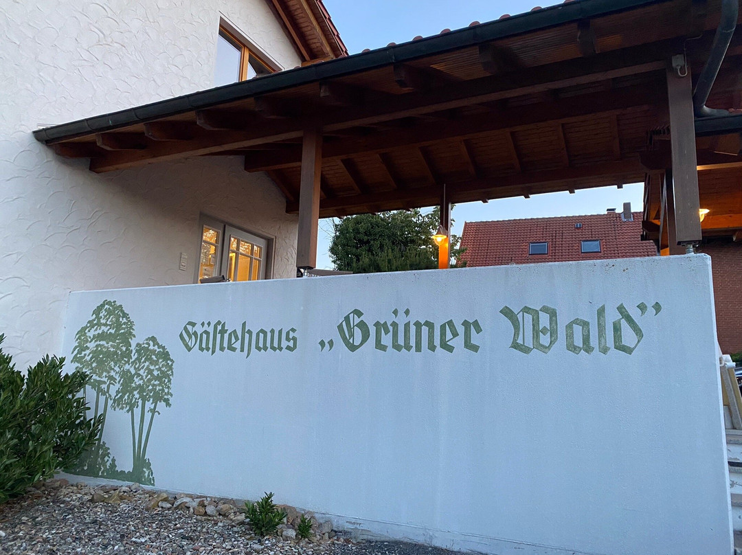 Hotel Gasthof Grüner Wald主图