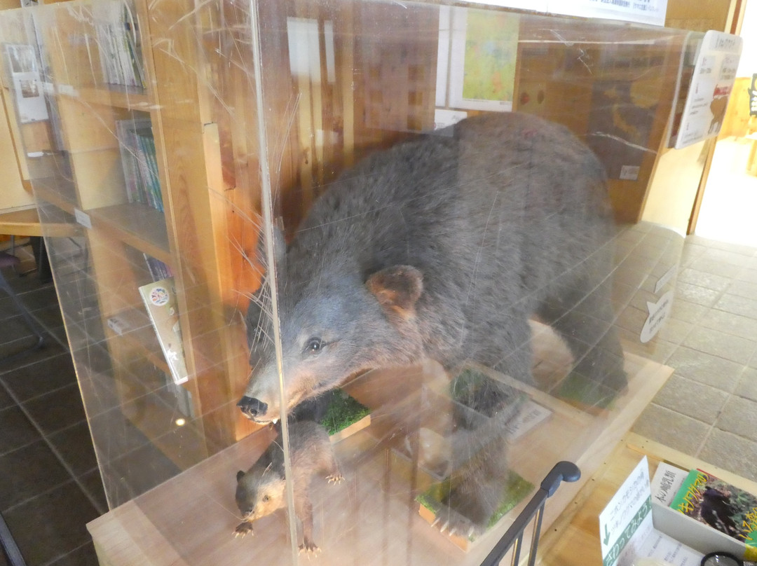 Urabandai Visitor Center-北盐原村必去景点