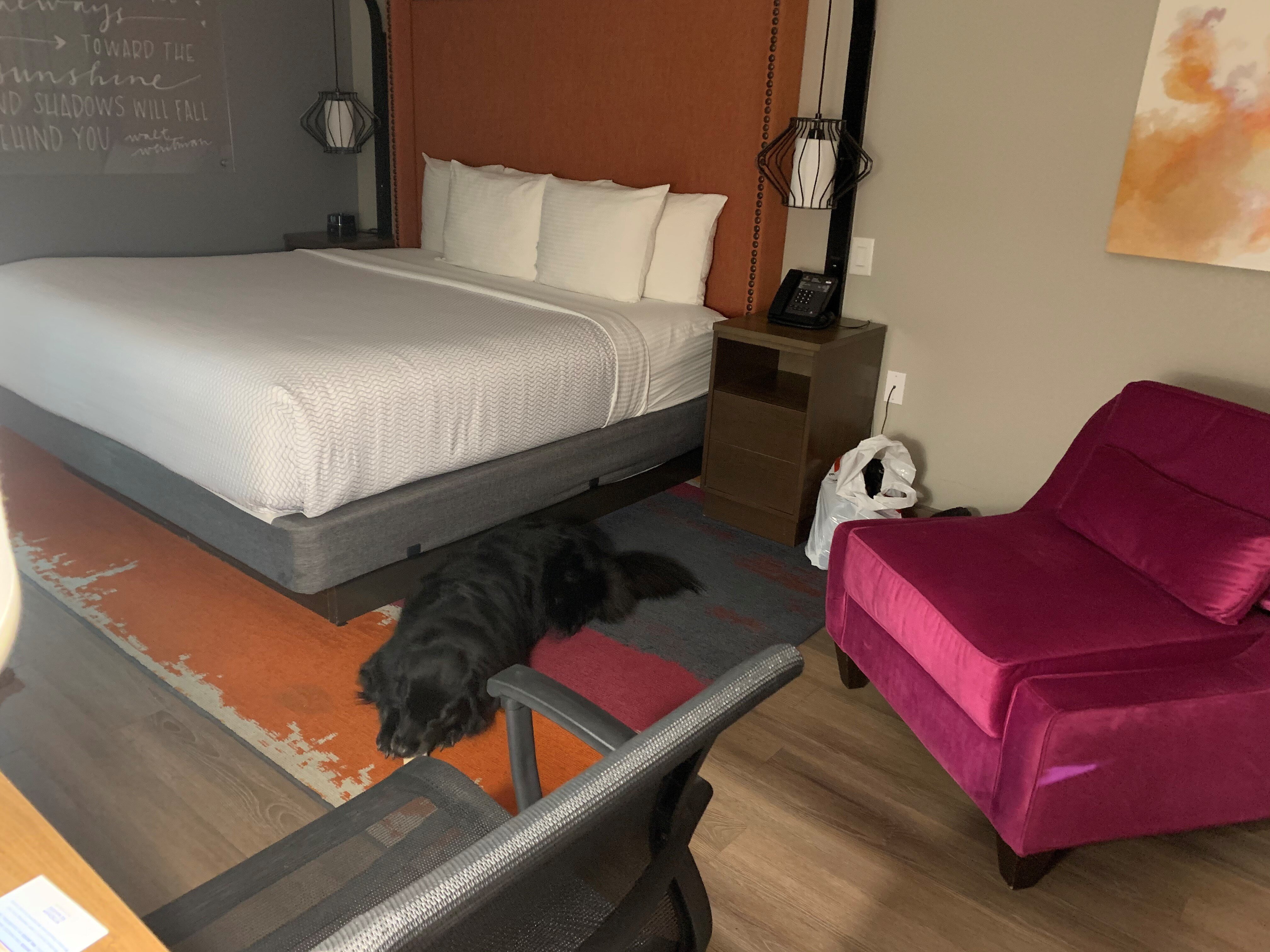 La Quinta Inn & Suites by Wyndham Perry-酒店景观