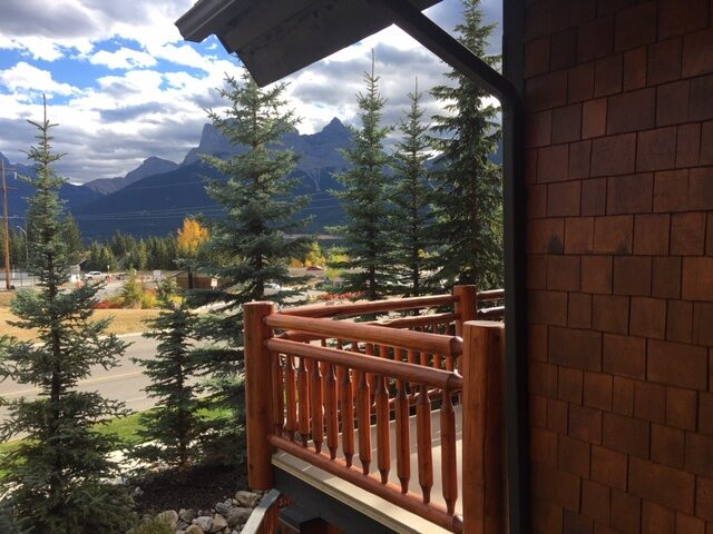 熊及野牛乡村酒店主图