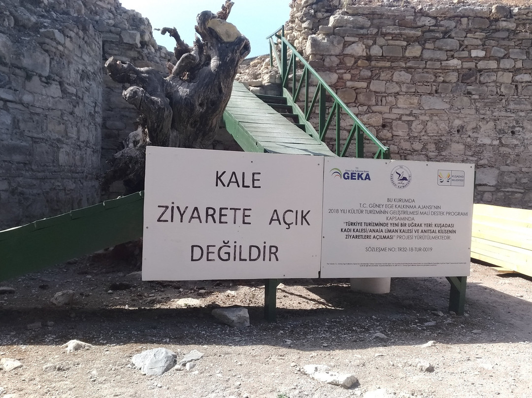 Kadikalesi Anaia Excavations景点图片