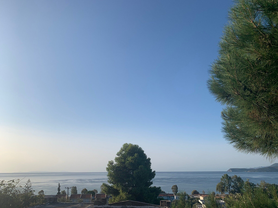 Cavo Grosso Bungalows主图