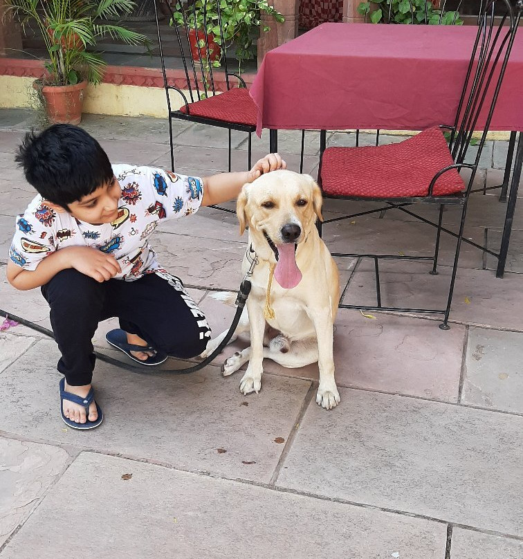 Bassi Fort Palace主图